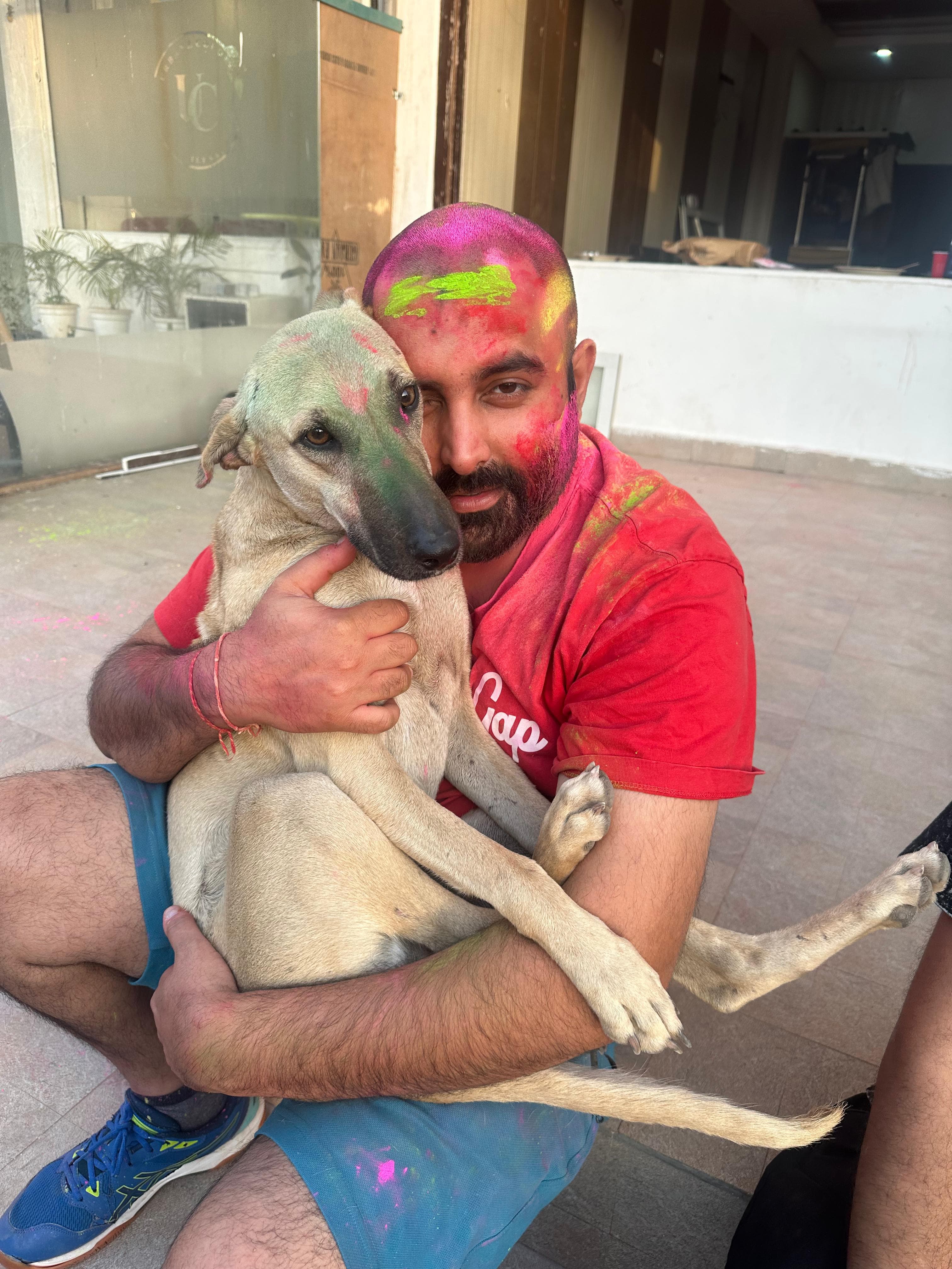 Jimmy — rescued dog now thriving at The Bhau Project shelter