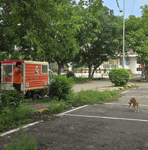 Bhau ambulance team at work with stray dog